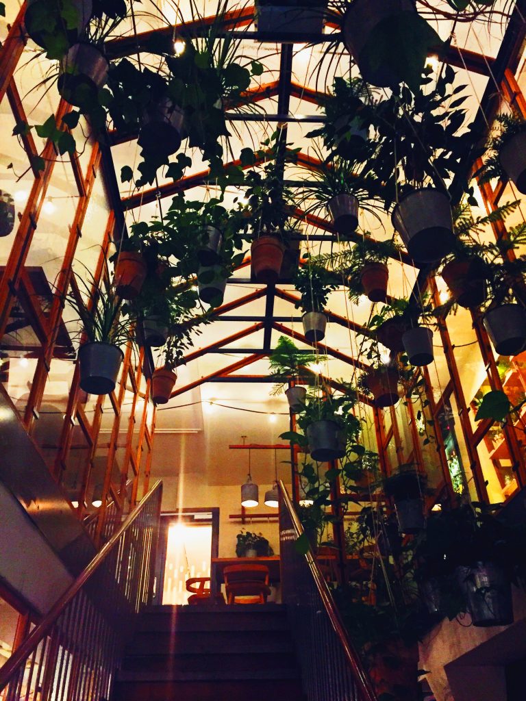 Inside the greenhouse at Vakst Copenhagen National Dish Review