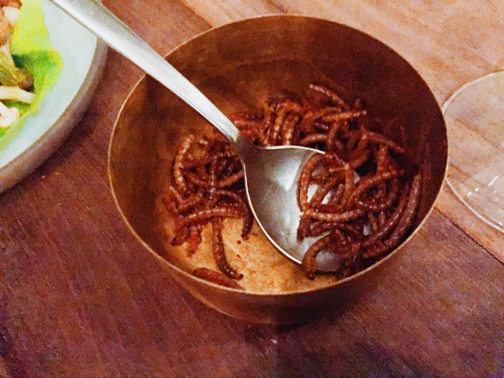 Mealworms at Vakst Copenhagen National Dish Review